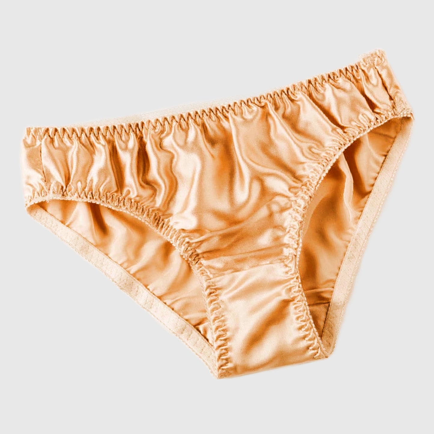Silk panty bikini brief Medium / Large | Clearance