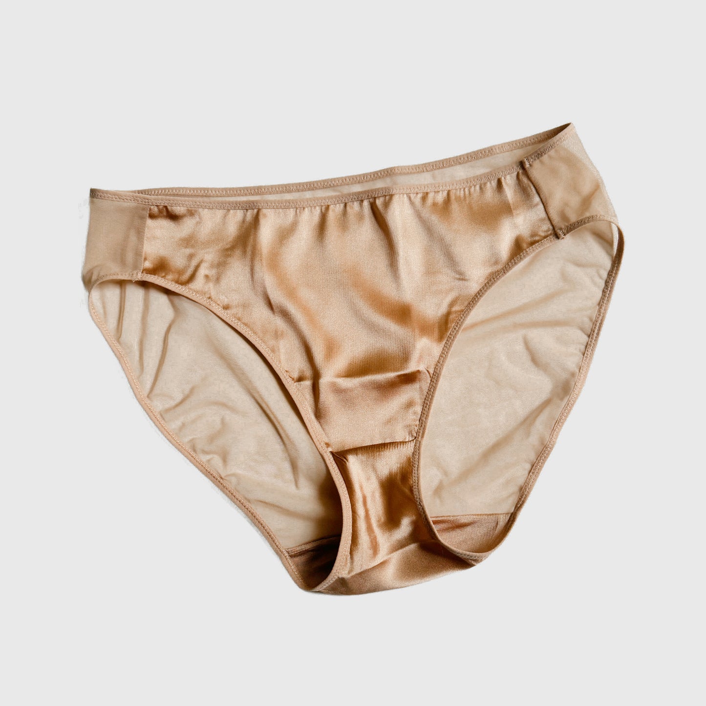 Silk and sheer mesh bikini briefs Medium/Large | Women's silk lingerie and underwear