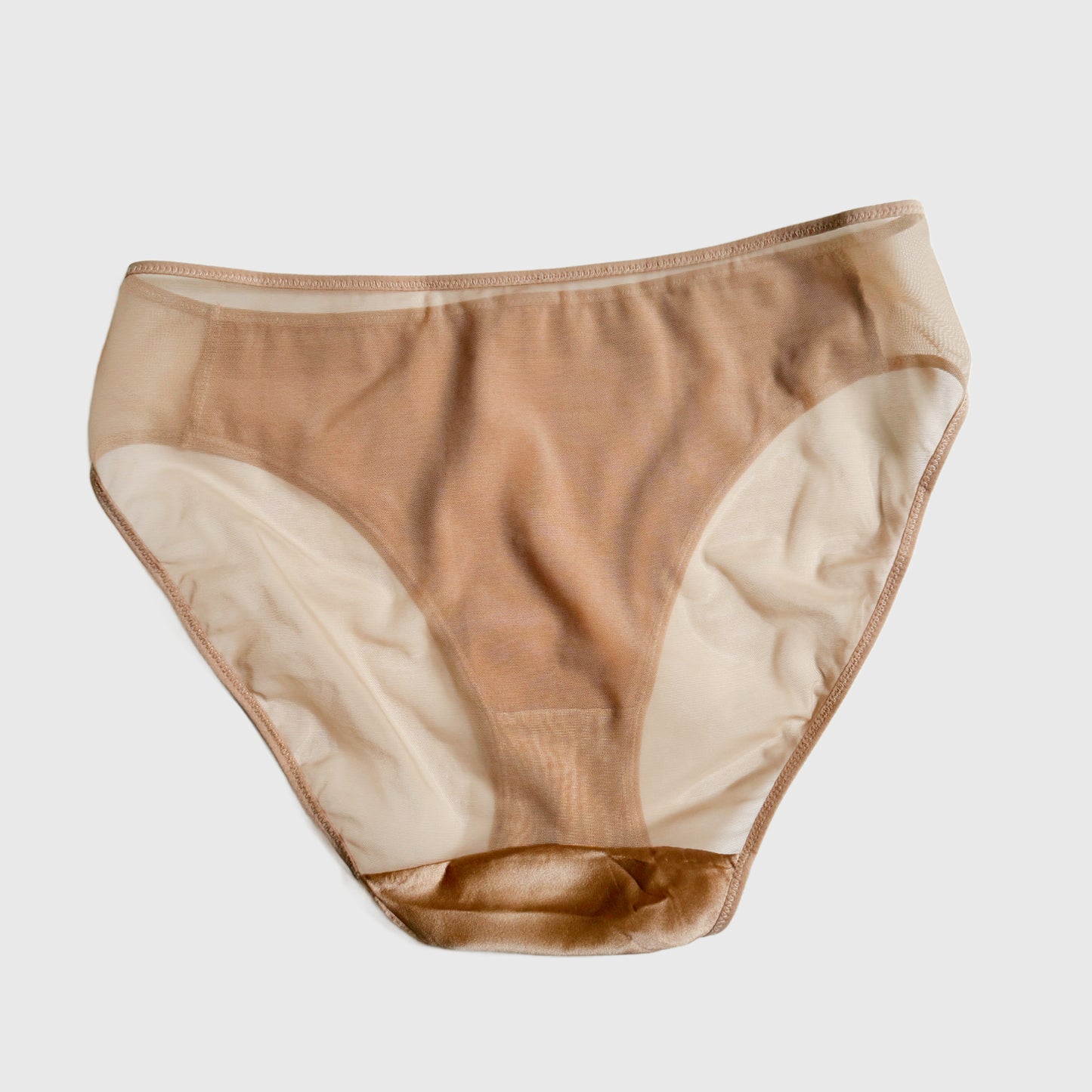 Silk and sheer mesh bikini briefs Medium/Large | Women's silk lingerie and underwear